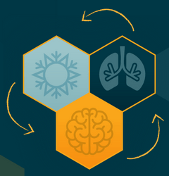 Logo metody Wim Hof